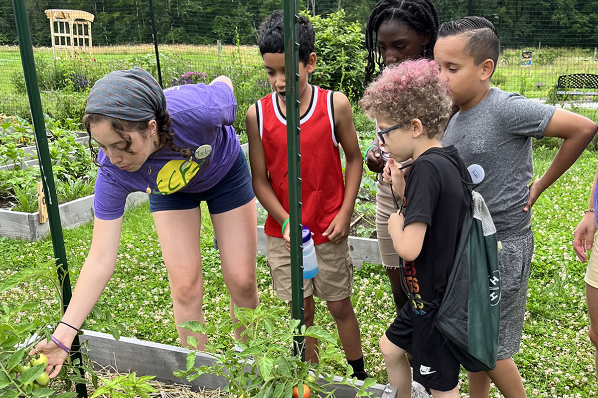 A student shows elementary students a tomato during camp at Auerfarm.
