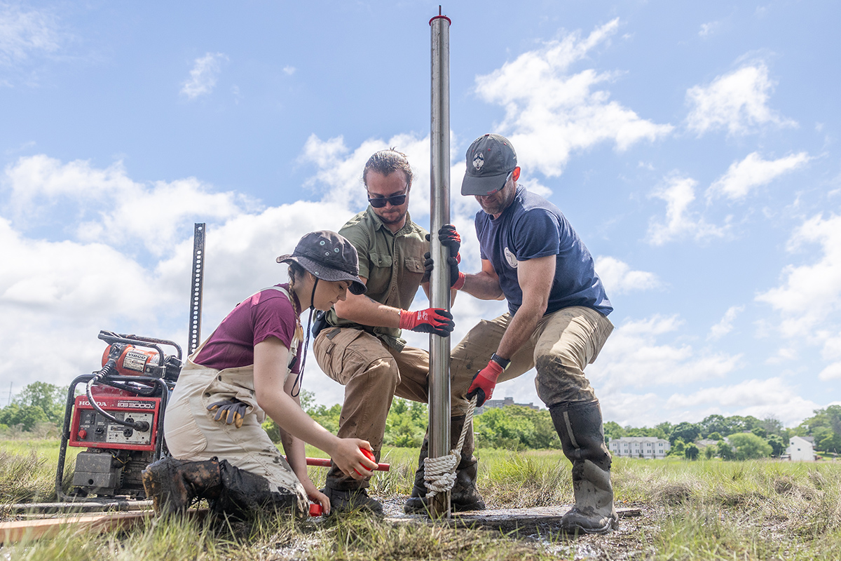 William Ouimet, associate professor of geography at UConn, and two students extract a soil core their team collected on Grannis Island.